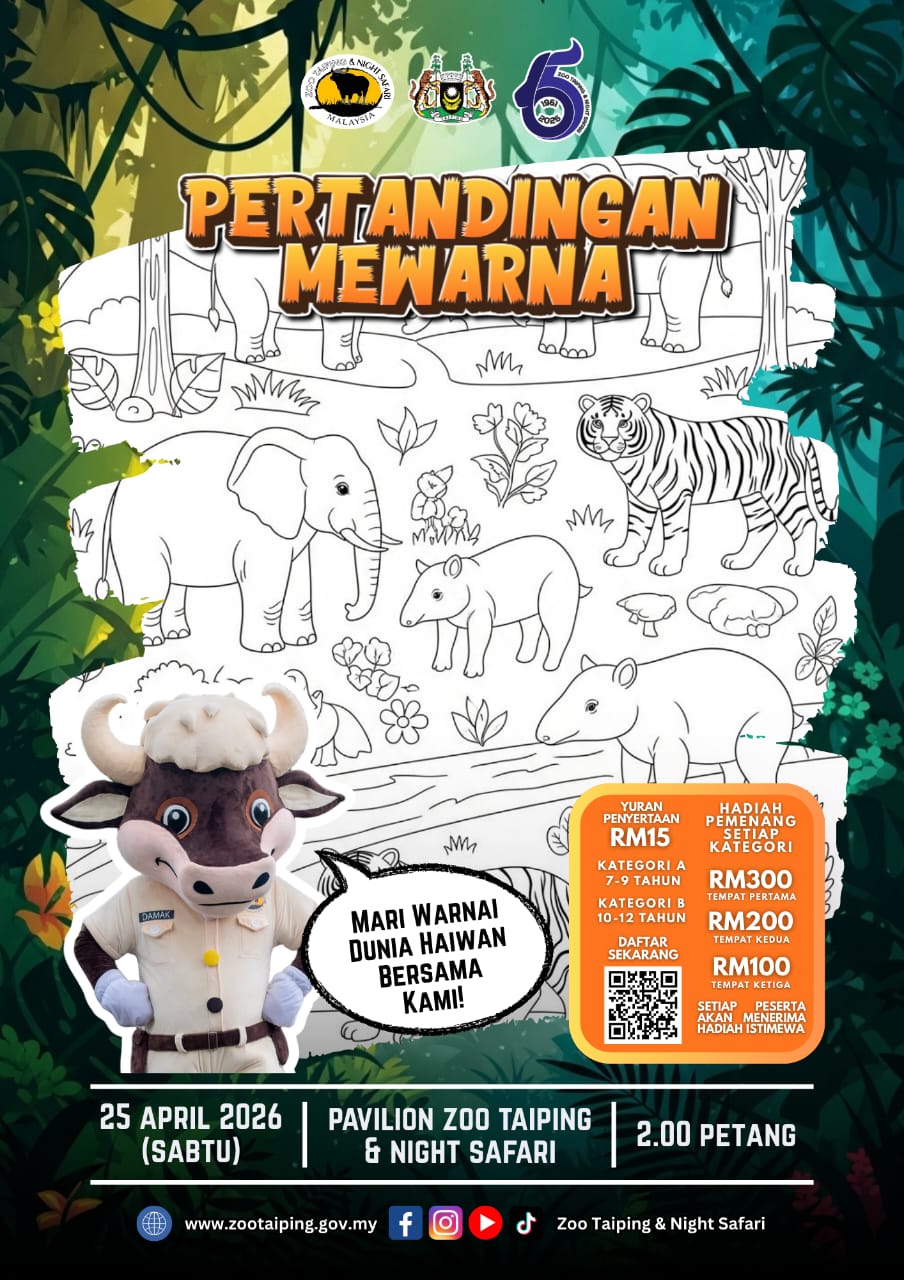 Coloring contest